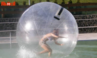 a nice astonishing zorb ball sale